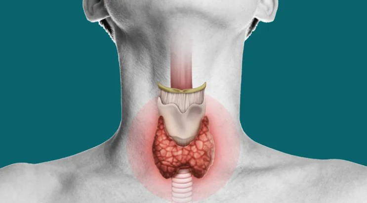 foto cabecera tiroides